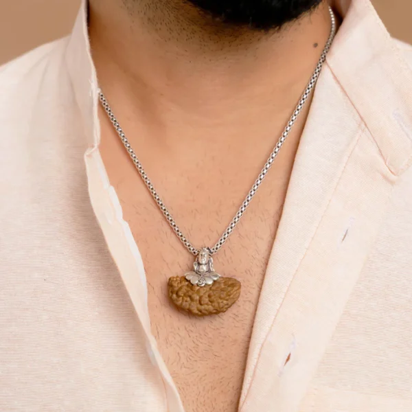 1 Mukhi Rudraksha (Nepali) - Image 2