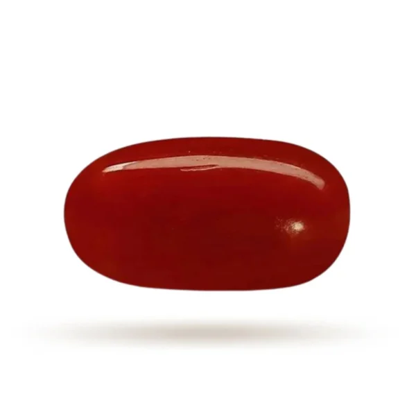 Moonga (Red Coral)