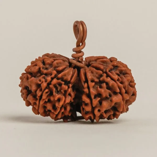 Gauri Shankar Rudraksha (Nepali) - Image 2