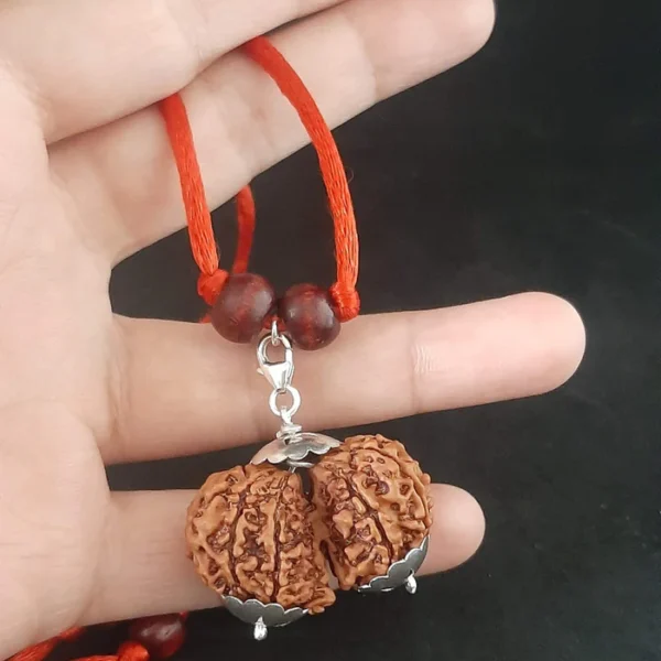 Gauri Shankar Rudraksha (Nepali) - Image 3