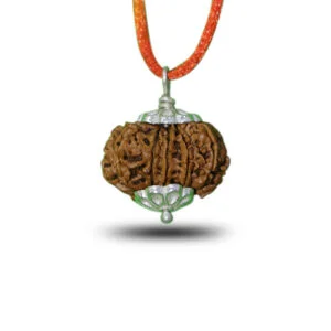 12 Mukhi Rudraksha (Nepali)